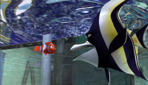 finding nemo full movie in hindi hd 720p download